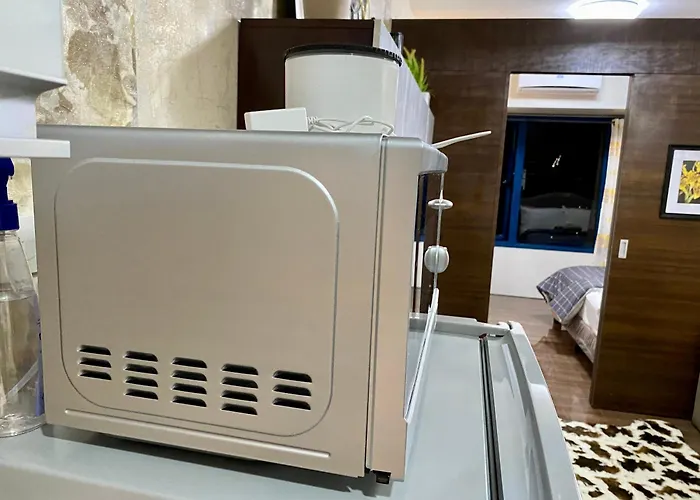 Apartment Artistry In Bloom Penthouse Retreat In Air Makati Blazing Fast 300 Mbps Air