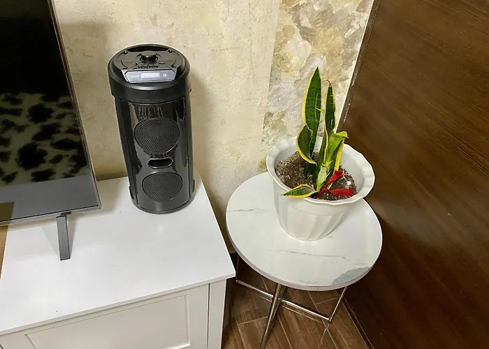 Artistry In Bloom Penthouse Retreat In Air Makati Blazing Fast 300 Mbps Air Apartment *